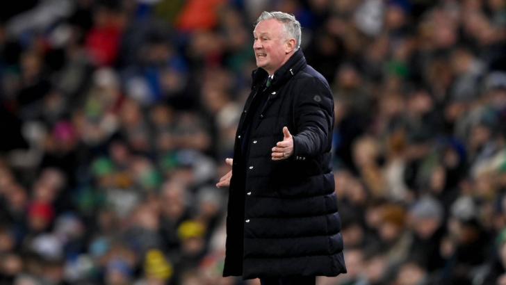Northern Ireland coach Michael O'Neill